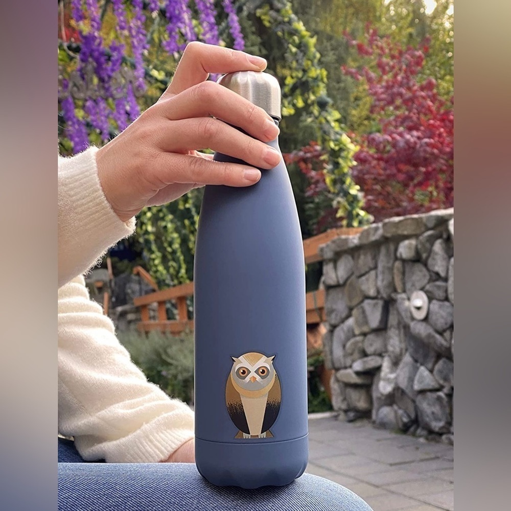 smållo Water Bottle with Cute Owl Design, Stainless Steel, Blue, 17oz, NIB